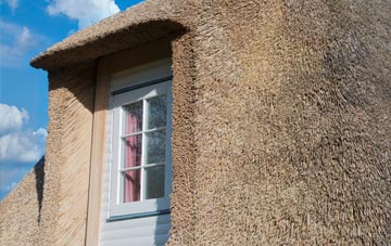 Gipton Wood thatch roof disadvantages